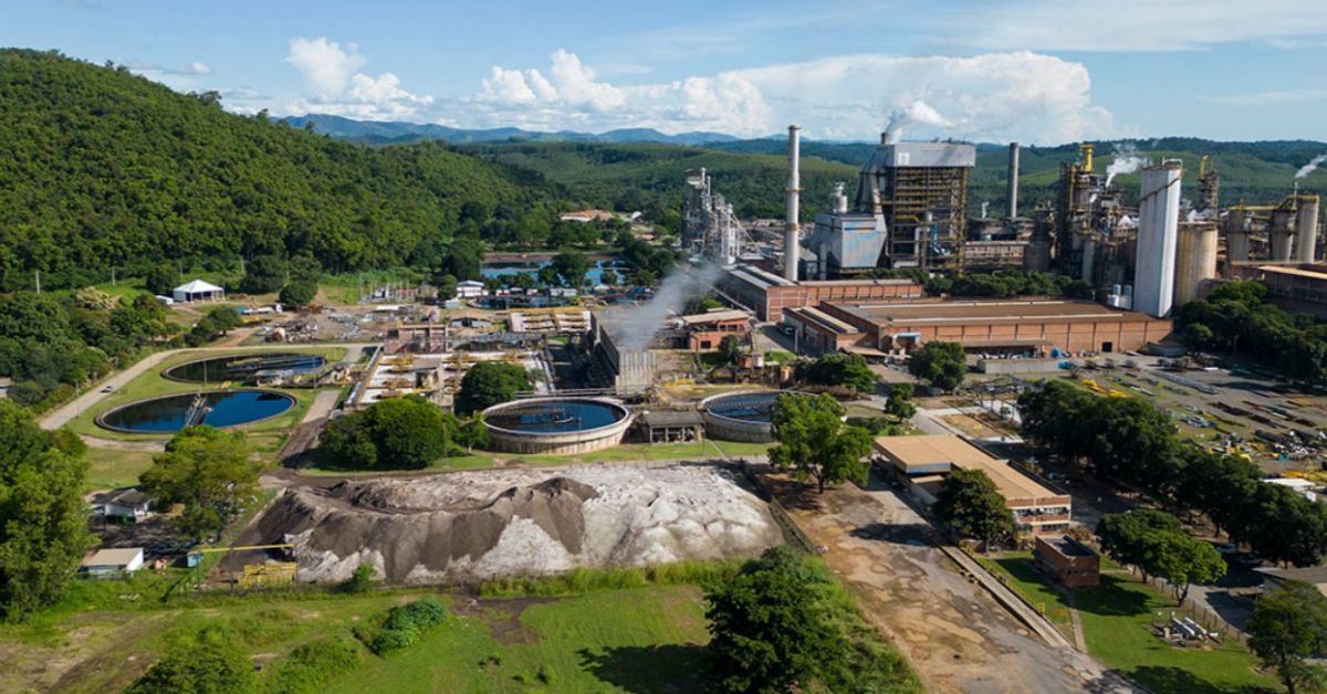 Cenibra diversifica negócios para crescer além da celulose