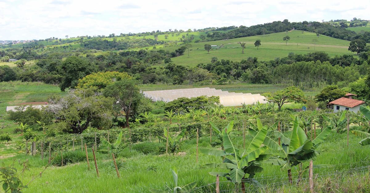 Imposto sobre propriedade rural sobe quase 600% em cidades de Minas Gerais; prazo para declarar termina dia 30