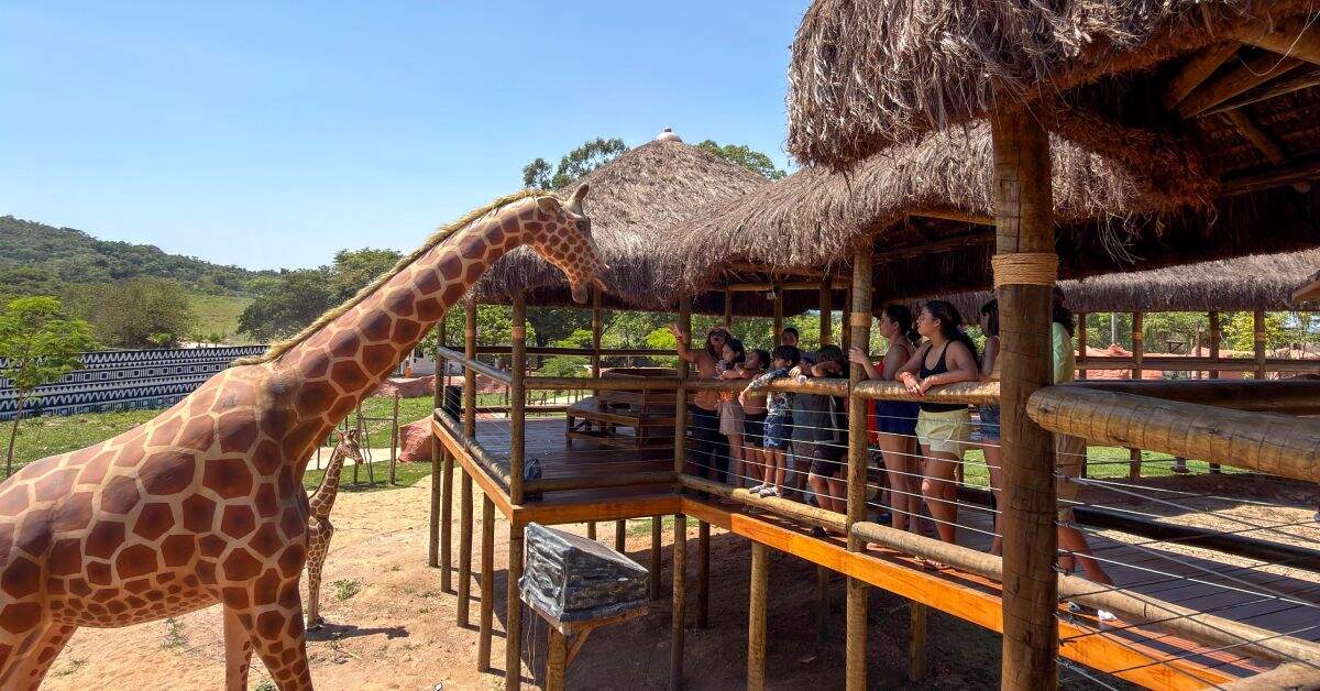Parque do Avestruz inaugura Complexo Safari e prepara nova expansão