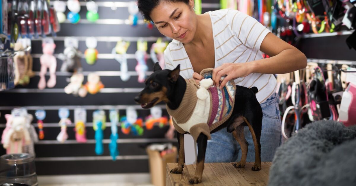 Serviços de pet shop ficam até 46,8% mais caros em BH; preços variam até 471%