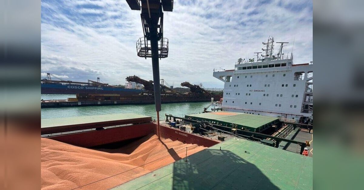 Navio cargueiro recebe carga de sorgo em terminal portuário durante operação de embarque da VLI.