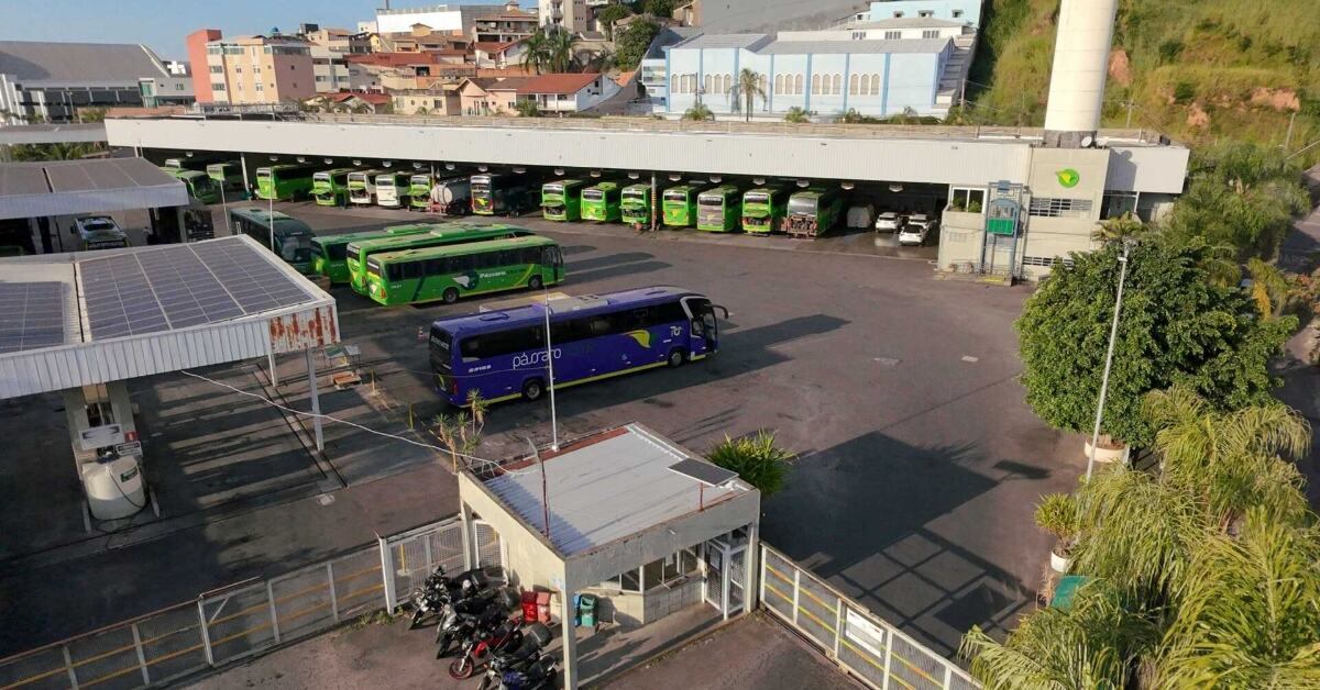 Pássaro Verde admite frota com idade média de 10 anos e diz que transporte clandestino contribui para piora do serviço