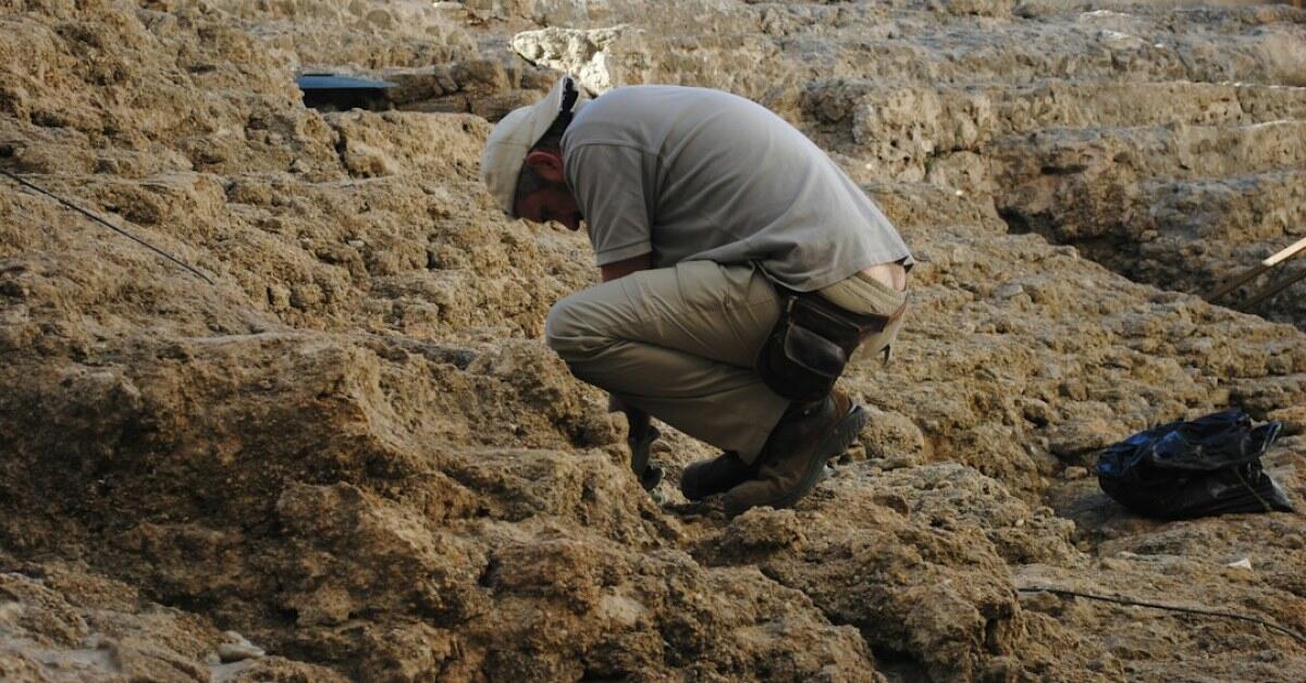 Agricultor encontra uma pedra rosa diferente na própria terra, chama as autoridades e revela partes de estátuas de Ramsés II