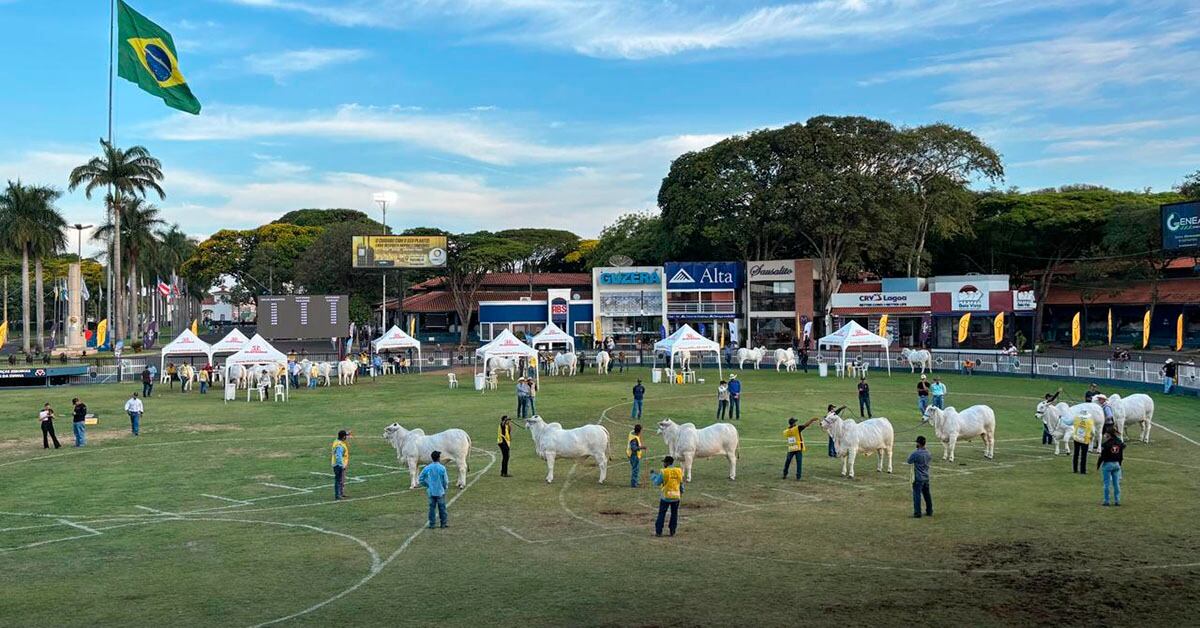 Juiz de Fora recebe 1º Feirão do Agronegócio com ofertas e palestras nesta quinta-feira