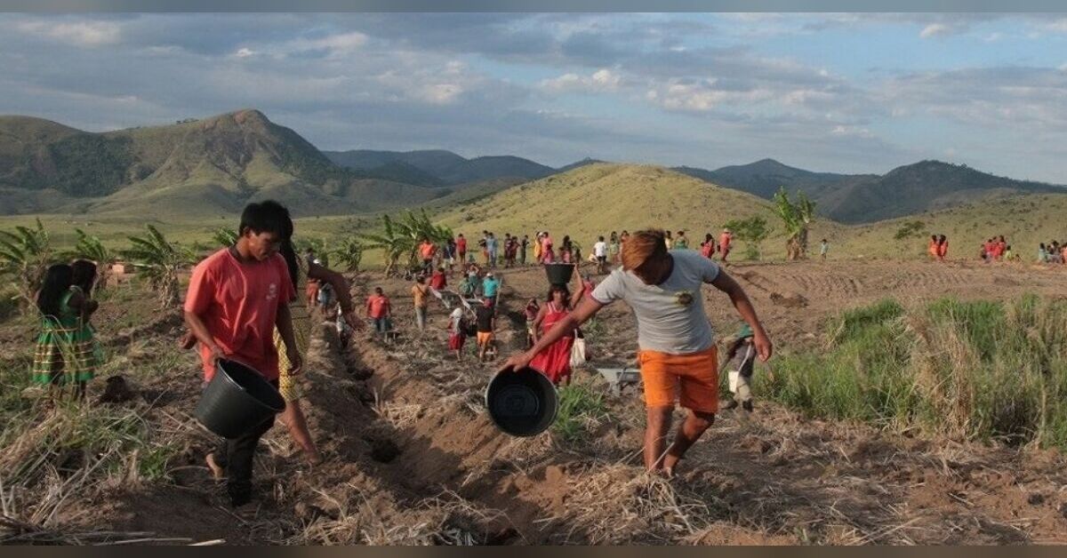 Acordos de reparação do MPMG rendem R$ 145,2 milhões para projetos ambientais em Minas