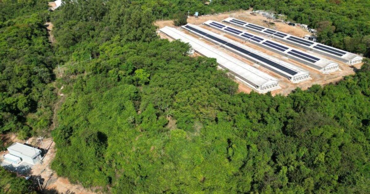 Vista área do projeto fotovoltaico com baterias na Granja Rivelli.